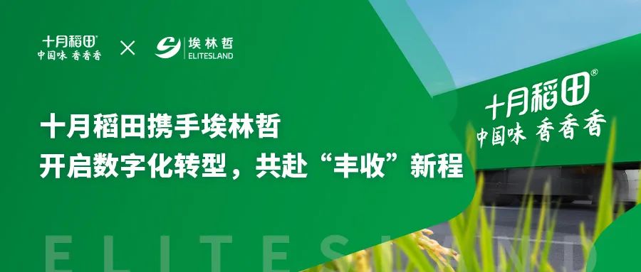 十月稻田携手太阳集团，借助数字化利器驶向 “丰收” 彼岸